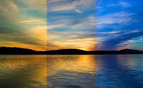 What you need to know about white balance
